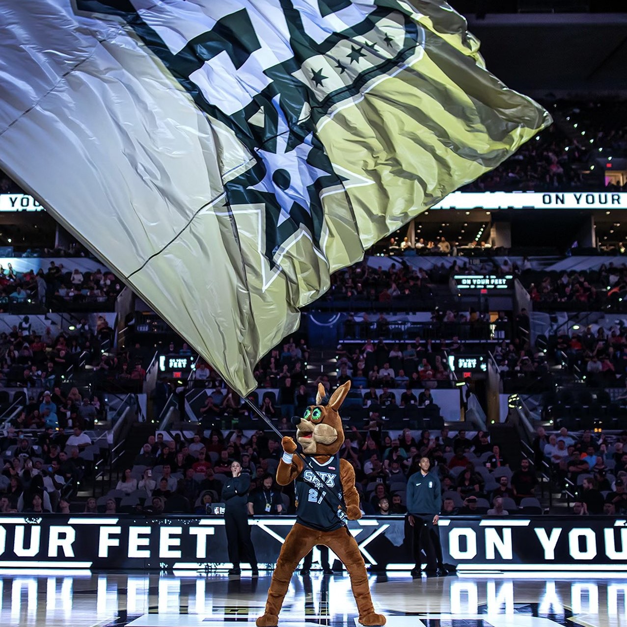 数据上的贡 数据上的贡